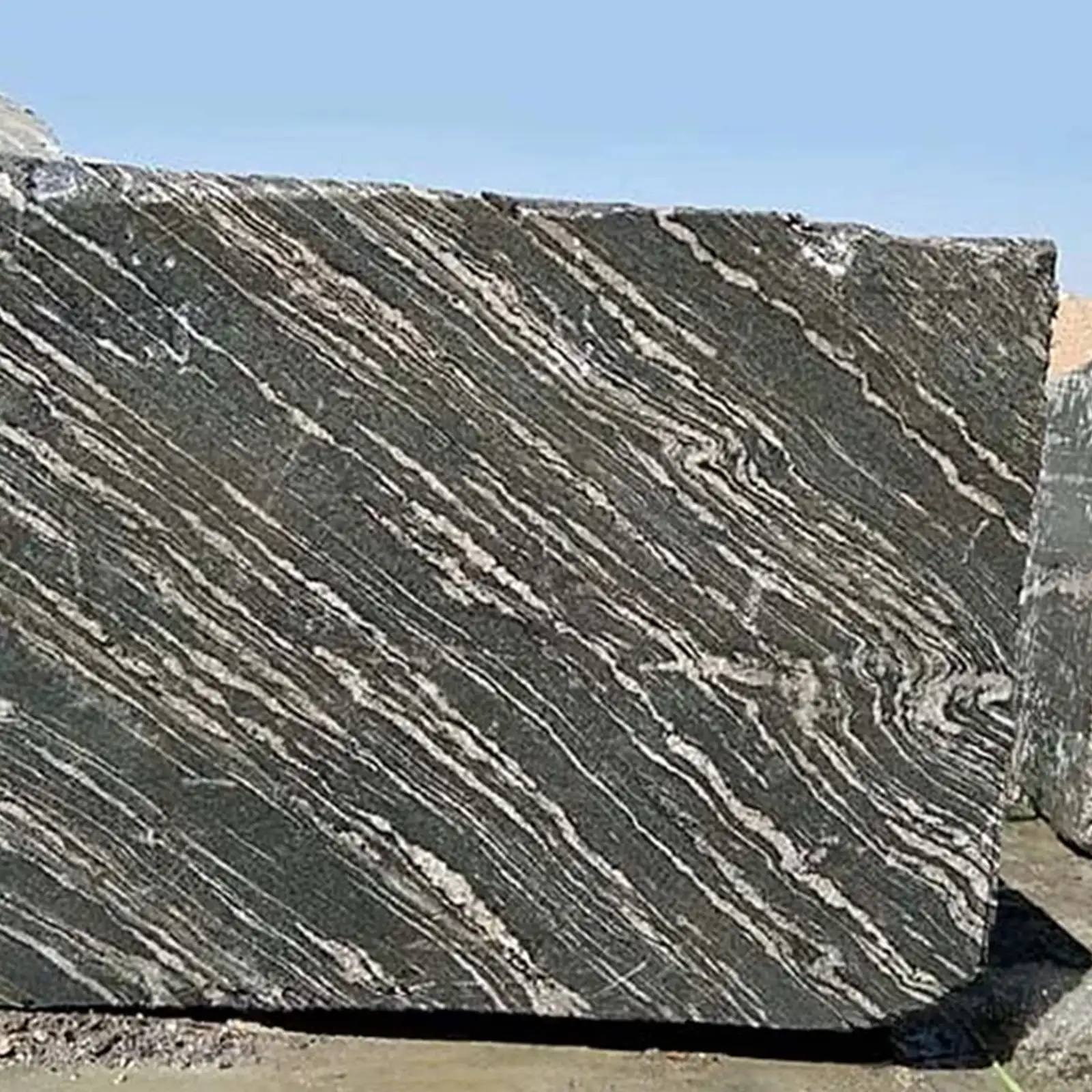 Zebra Black Block