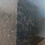 Black Forest - Block 4