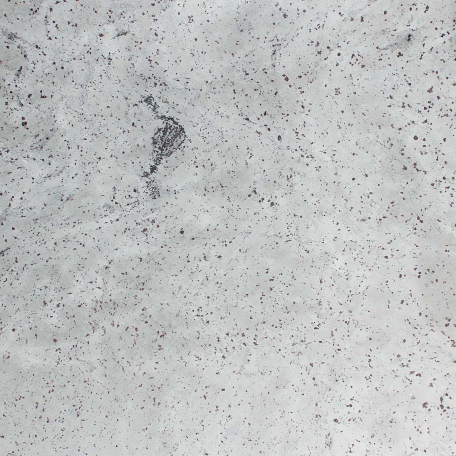 Titanium White Granite