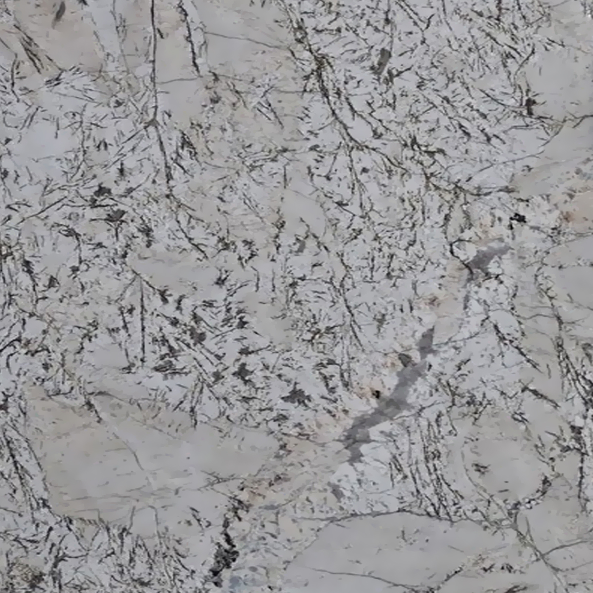 Bianco white granite