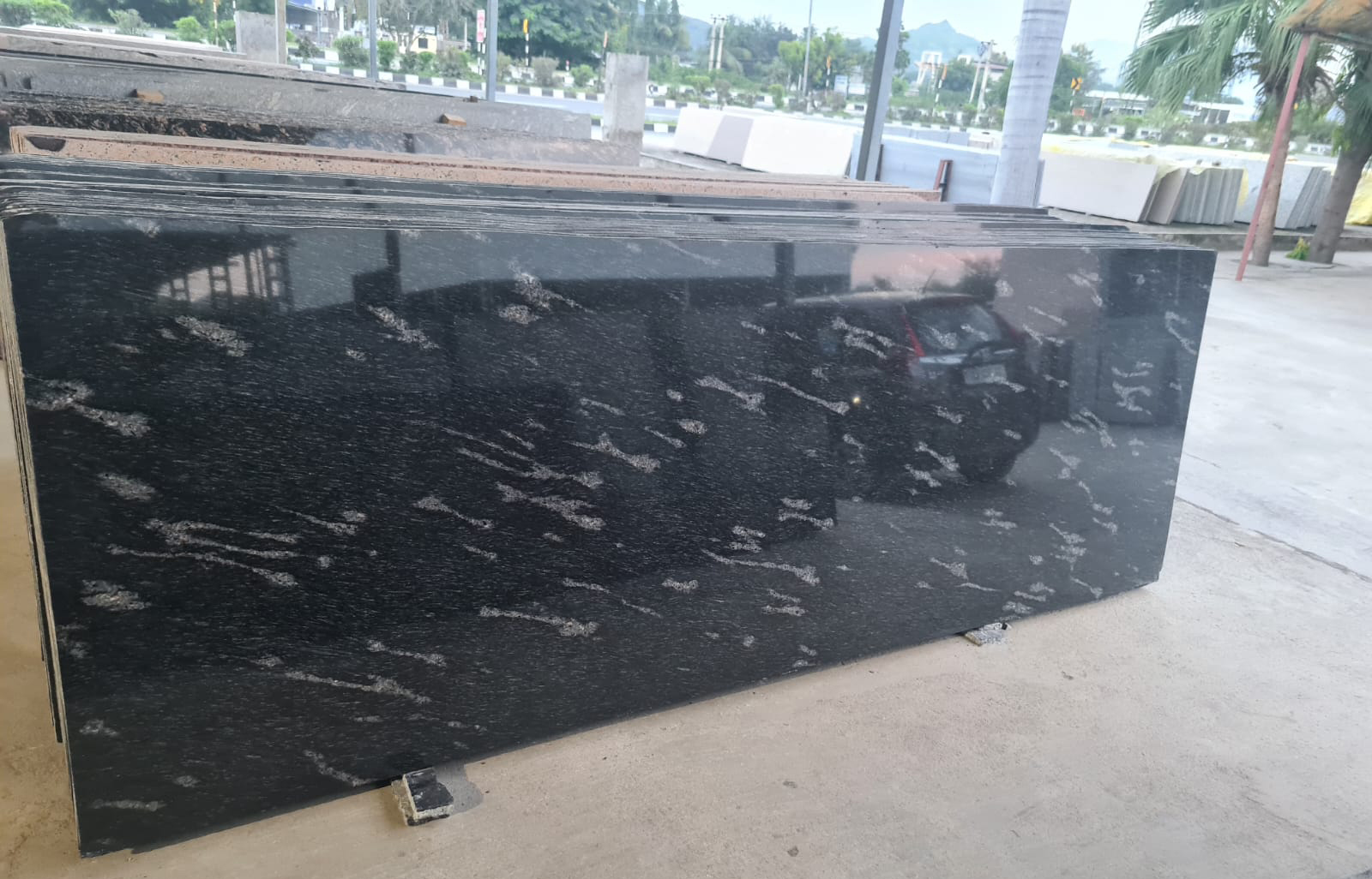 Fish Black Granite