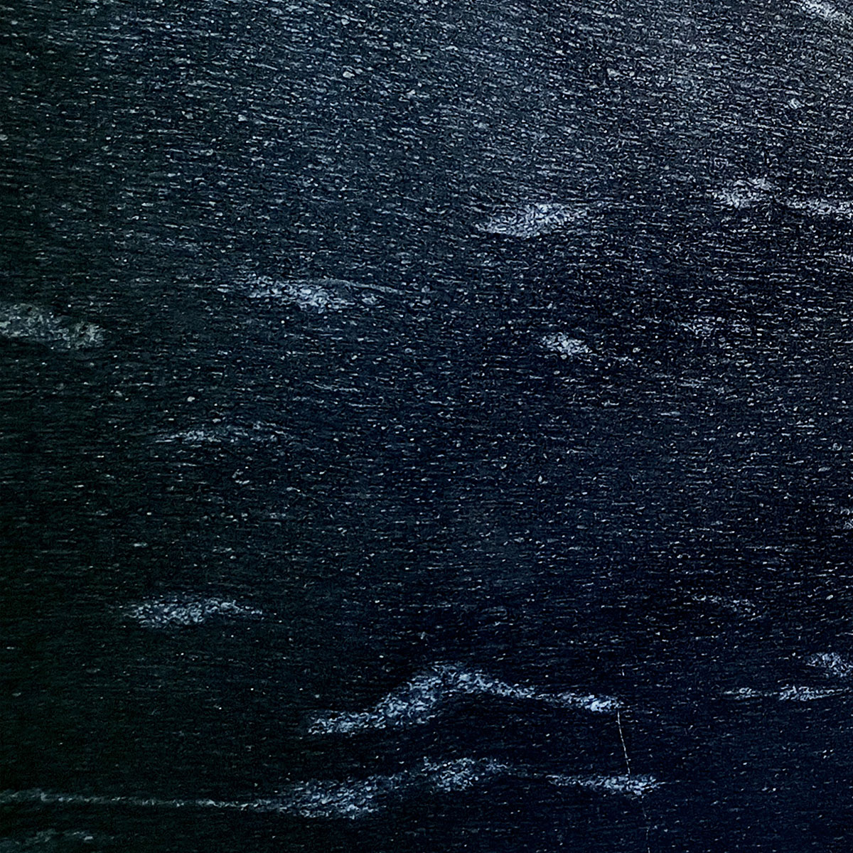 Fish black granite