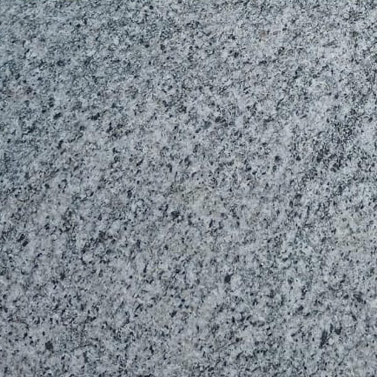 Narlai Grey Granite