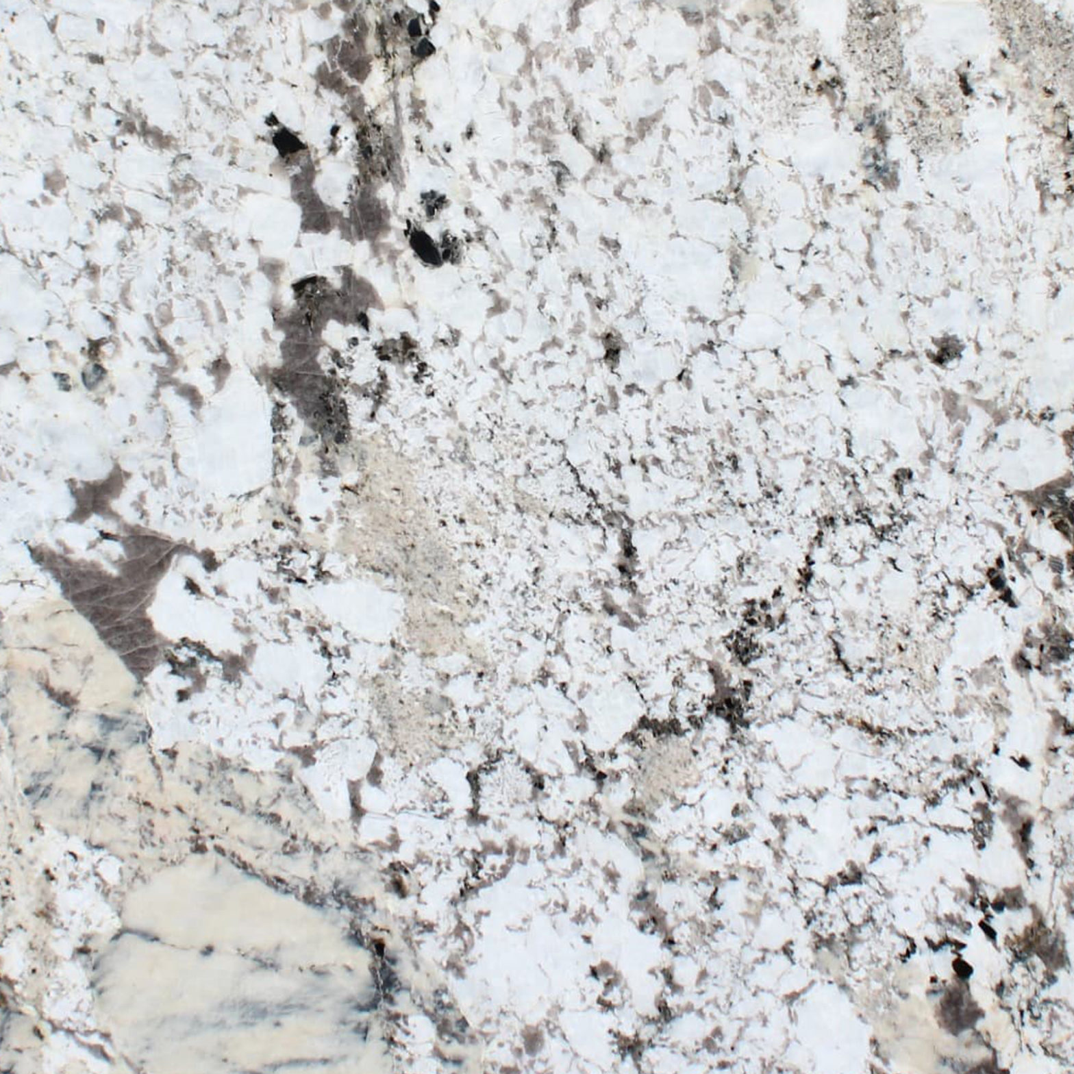 Alpinus White Granite – Surface View