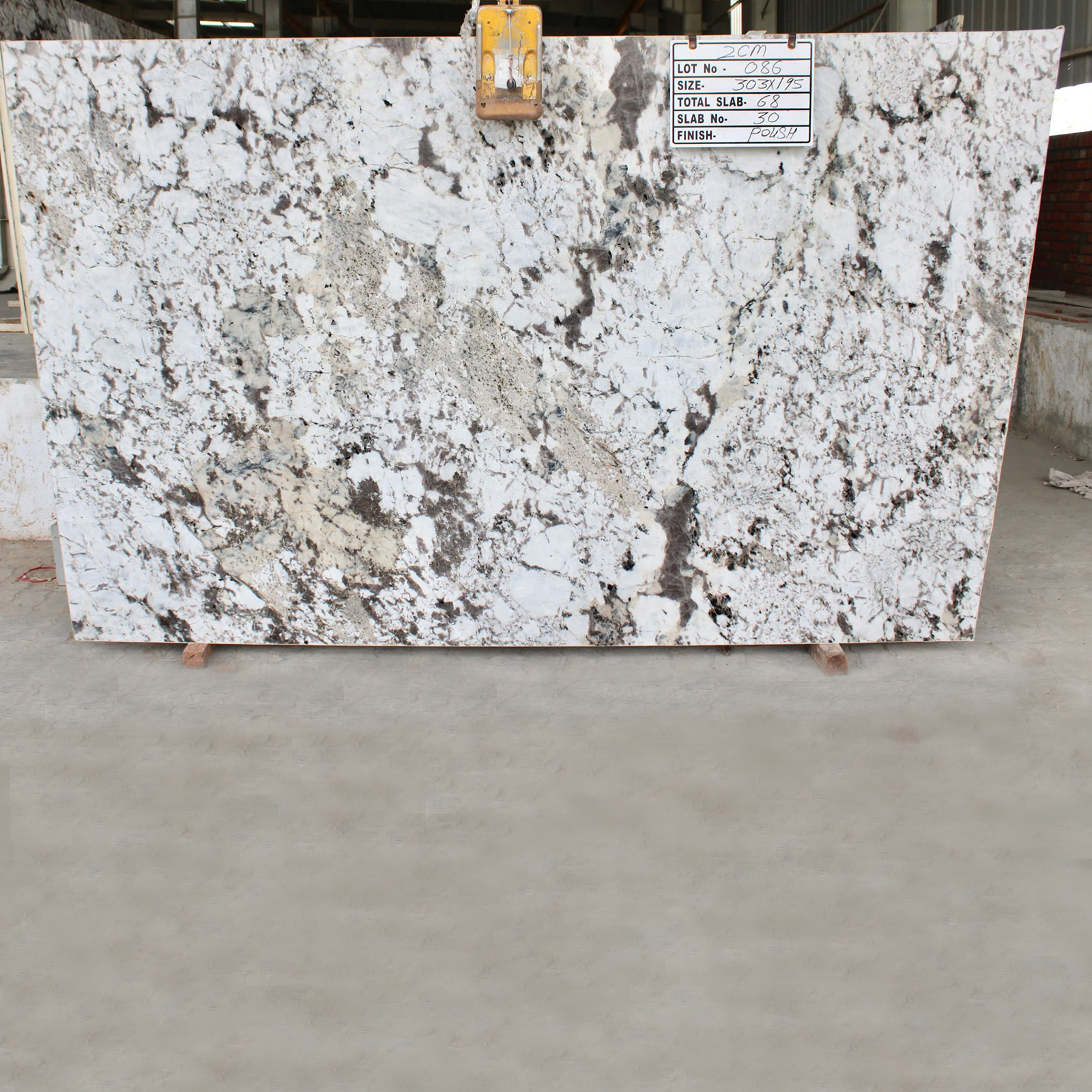 Alpinus White Granite