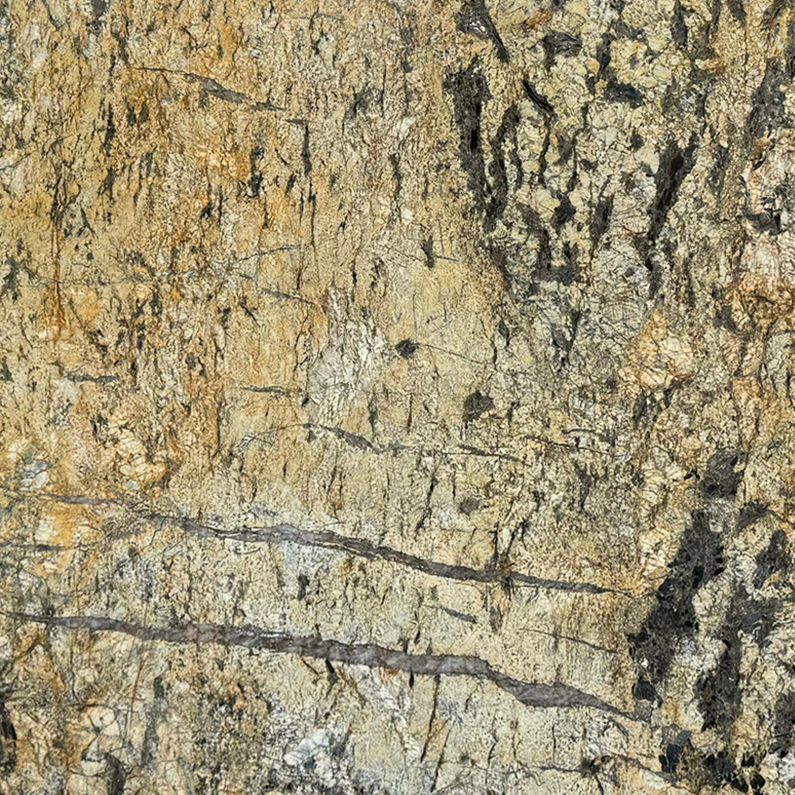 Exotic Gold Granite Surface View