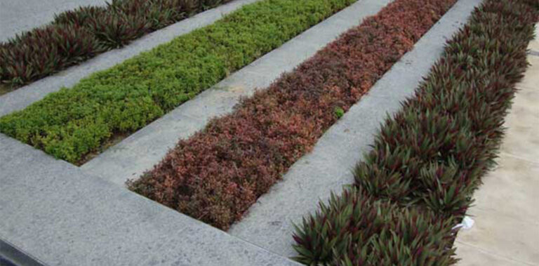 Garden edging