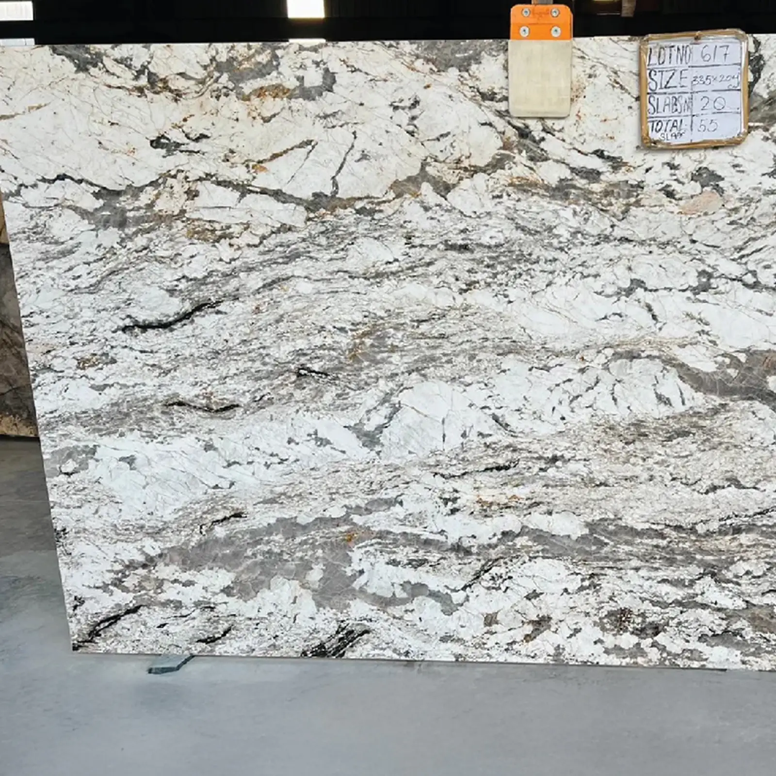 Arizona White Gangsaw