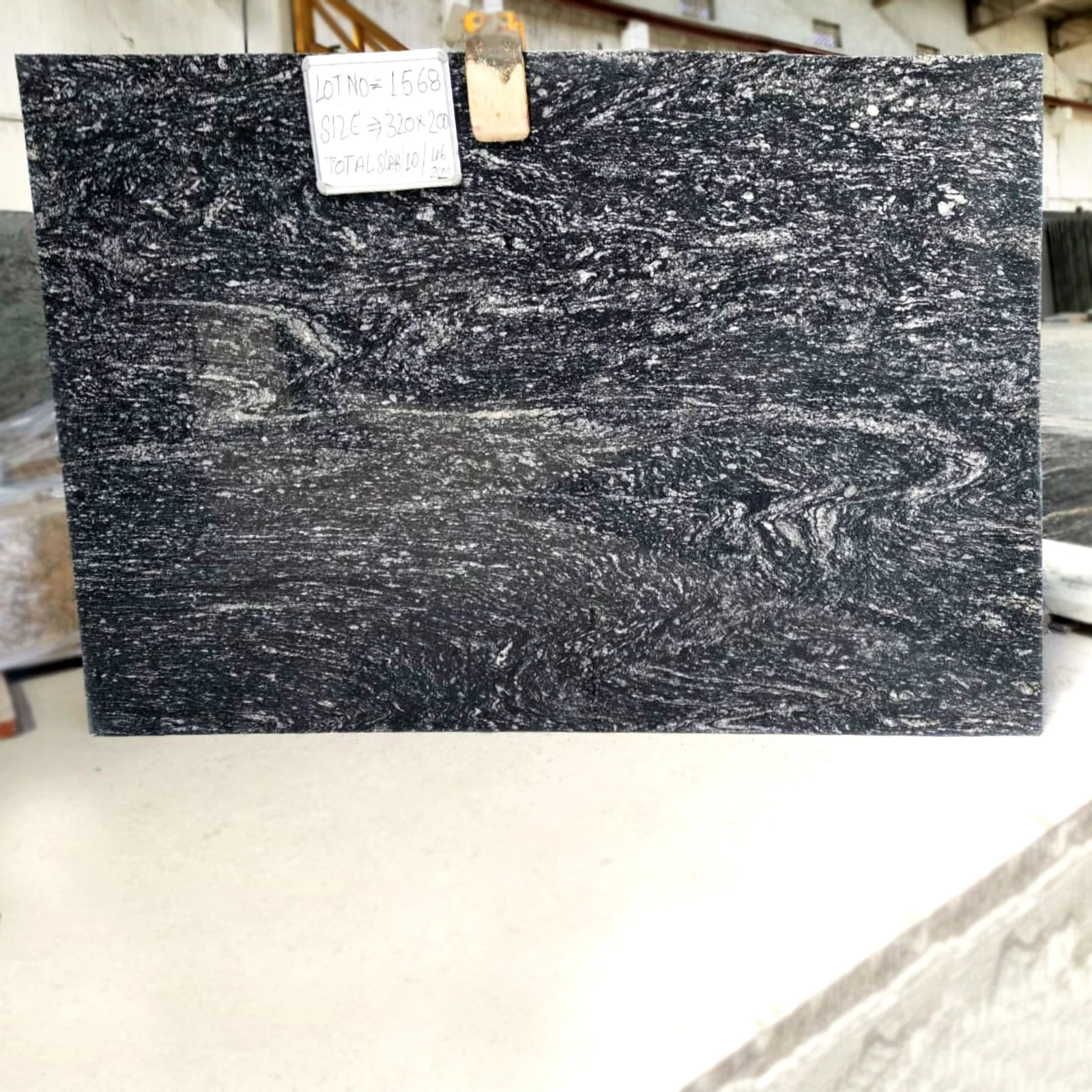 Black Marcino Gangsaw 