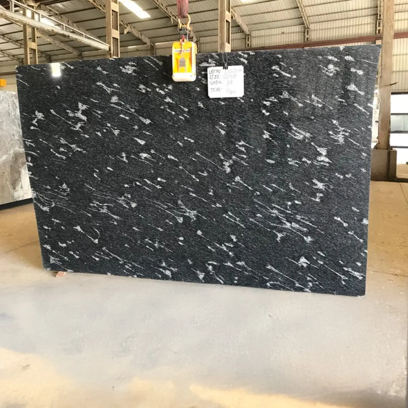 Fish Black Gangsaw