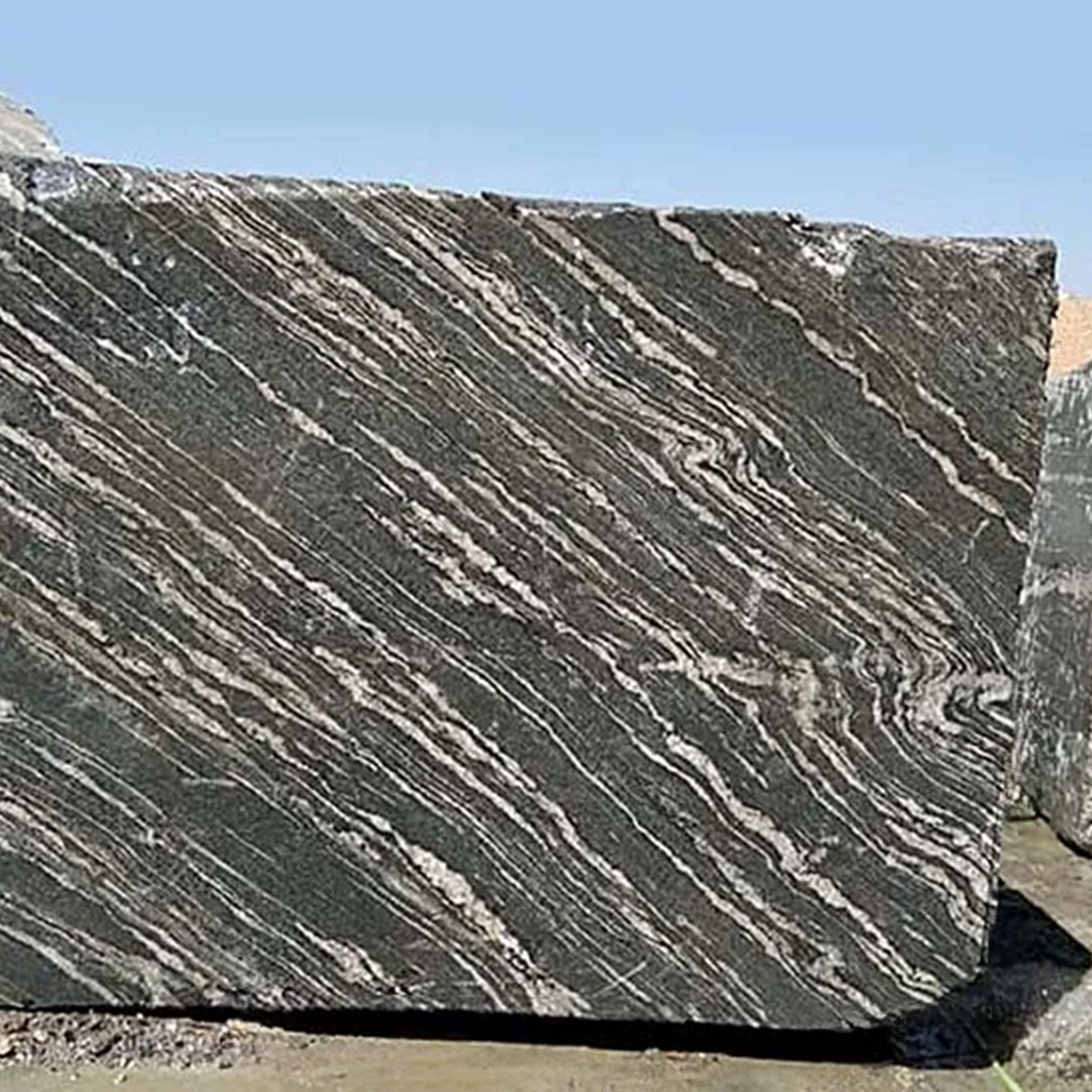 Zebra Black Block