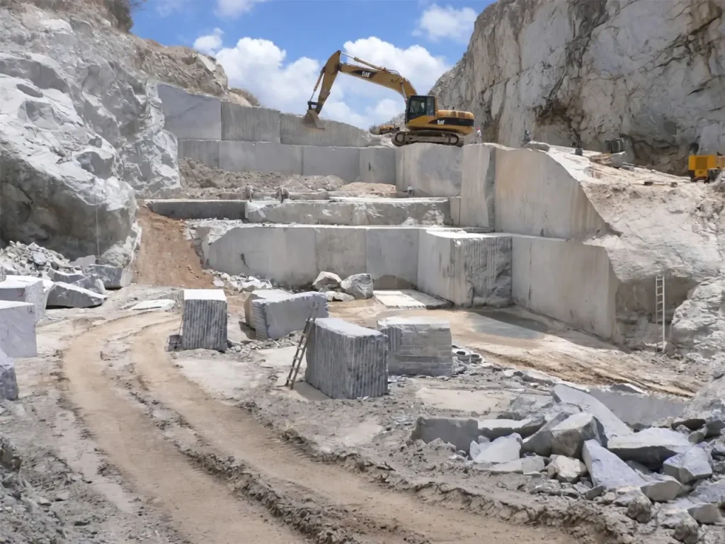 Atlantic White Gangsaw