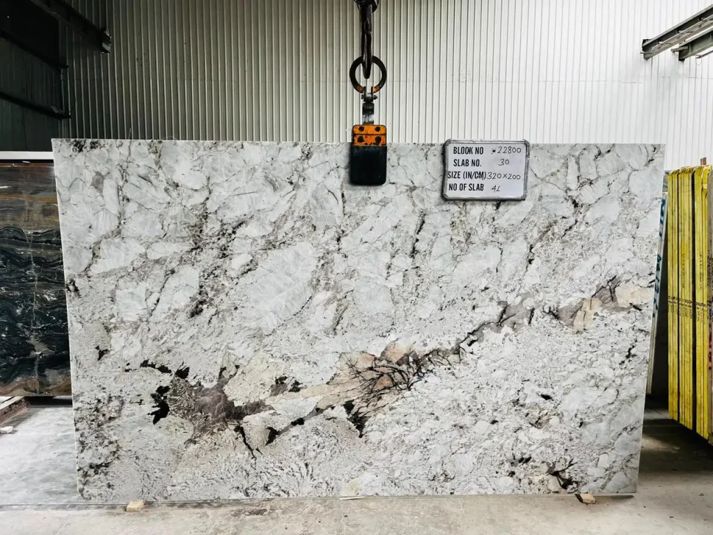 Atlantic White Gangsaw