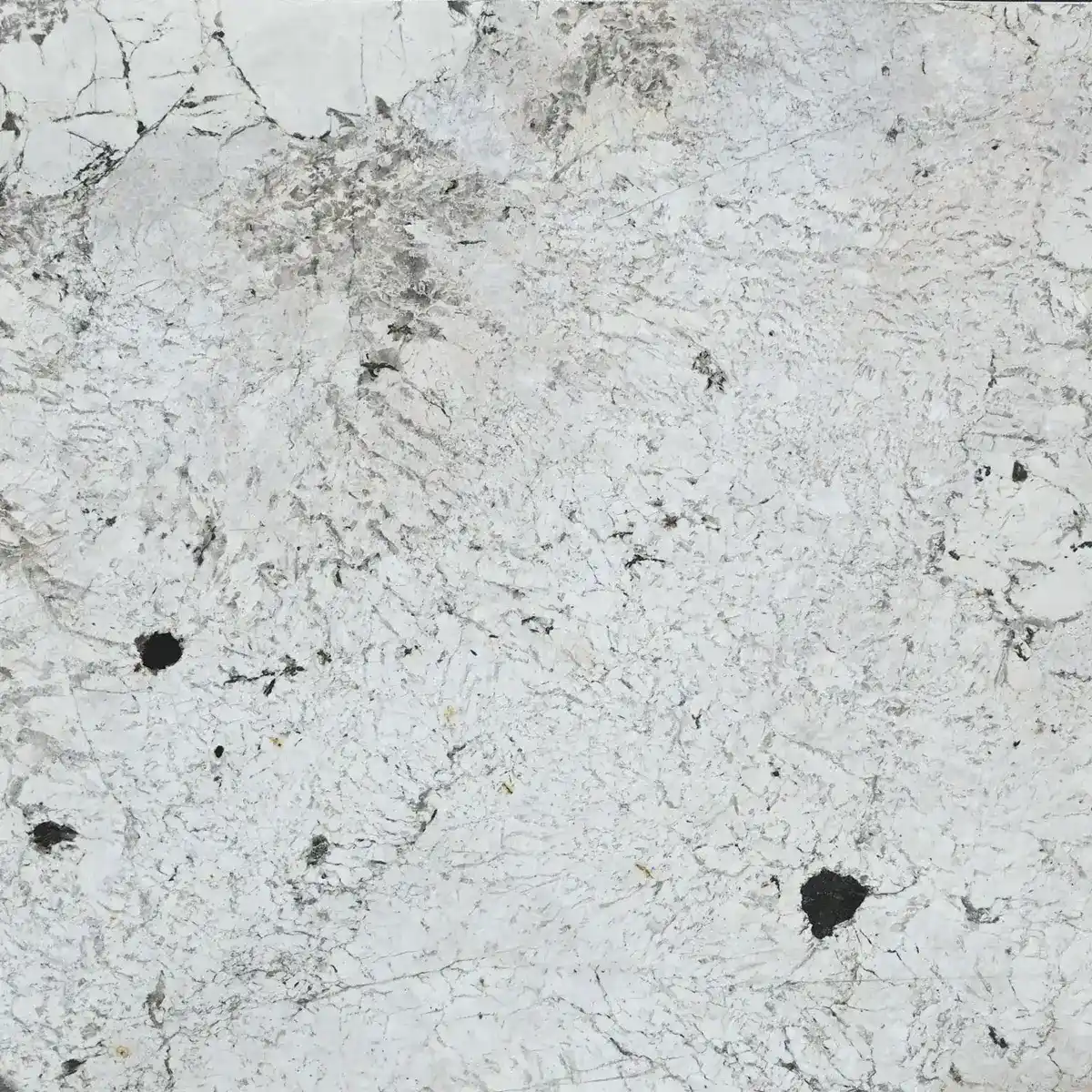Picasso White Granite