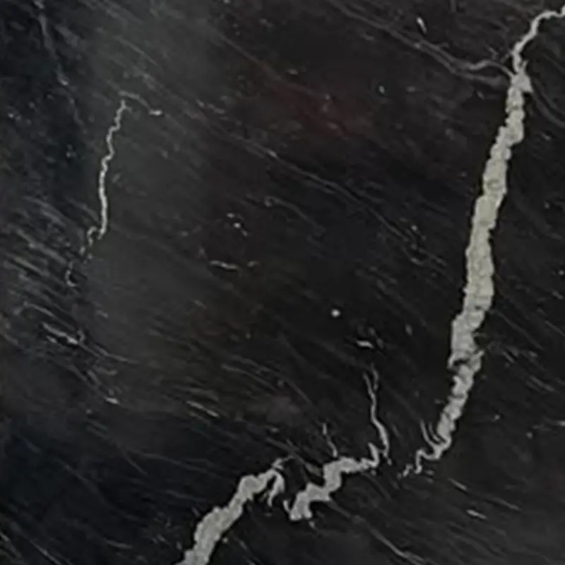 Scorpion Black Quartzite
